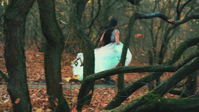 rear view mysterious woman in luxurious puffy aqua color dress runs away looks back. fabulous Princess in gothic autumn forest. Silk Fabric dark long hair flutter in motion. Fog, orange fallen leaves