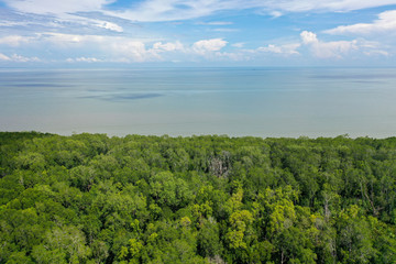 Fototapeta na wymiar Aerial view of wild Borneo Rainforest or Rain Forest.