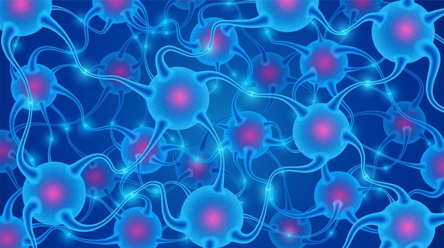 Artificial neural network. The nodes are connected with each other through synaptic connections. The system of connection and interaction between biological neural networks.