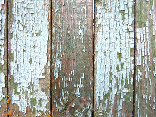 texture of shabby green boards of old wooden fence in retro vintage style