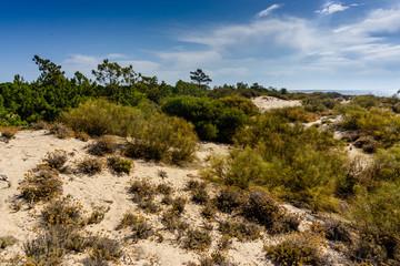 Fototapeta na wymiar Atlantic Ocean and the coast of the Algarve, Southern Portugal