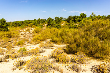 Atlantic Ocean and the coast of the Algarve, Southern Portugal