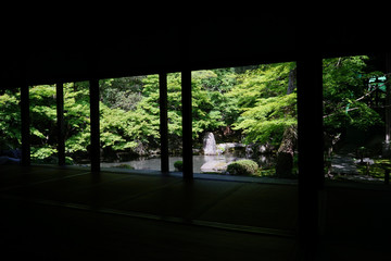 新緑の頃の蓮華寺庭園