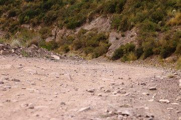 camino 4x4 con piedras