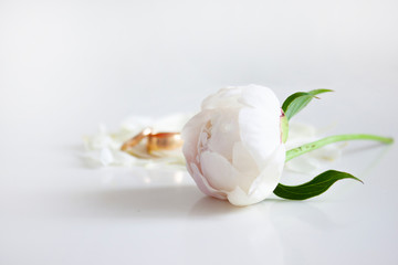 Wedding background. White peony, peony petals and gold wedding rings. Event. Selective focus
