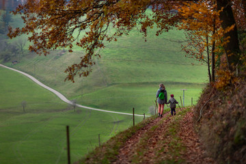 Obraz premium Herbstspaziergang