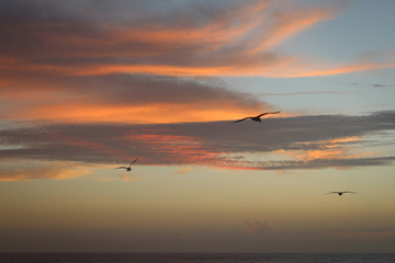sunrise over the sea