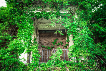 Overgrown abandoned building with boarded door