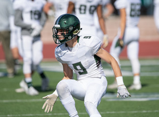 Action photo of athletic football player making amazing play during a football game