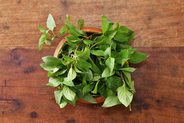 Thai basil in wooden bowl