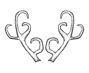 Hand drawn deer antlers