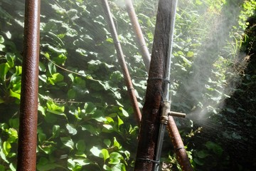 Gartenschlauch spritzen undicht spritzender Wasserschlauch Gartnspränkler Lebenswasser Trinkwasser...