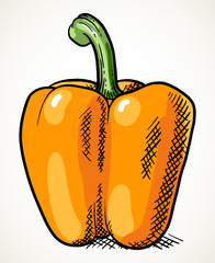 Sweet orange pepper vegetable illustration