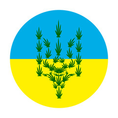 Fototapeta na wymiar the coat of arms of Ukraine from cannabis leaves against the background of the flag.