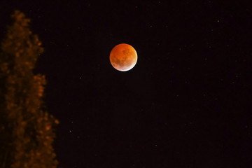 full moon in the night sky