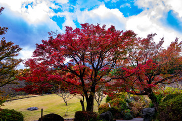 南立石公園の紅葉