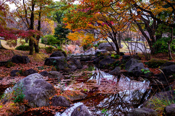 南立石公園の紅葉