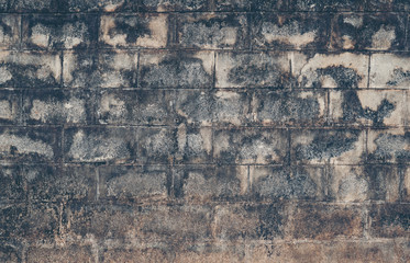 Close up old concrete wall background