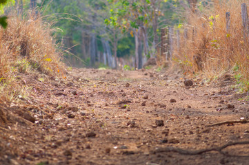 foothpath to a new life