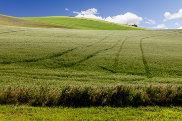 Naklejka premium Tractor and farm equipment on a hill in the Palouse, Washington state, USA