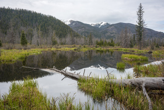 Mountain Pond Reflection