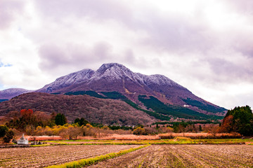 Naklejka premium 塚原高原から由布岳
