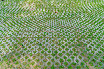 Concrete block floor with green grass