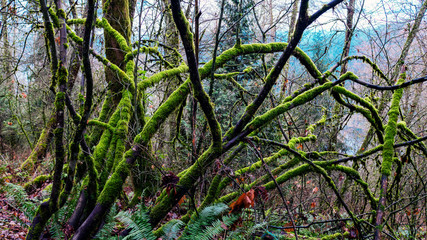 Fototapety na wymiar - Fototapeta24.pl