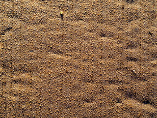 dew droplets on the bright paper background