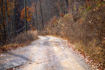 Dirt road on a mountain surrounded by trees in the fall