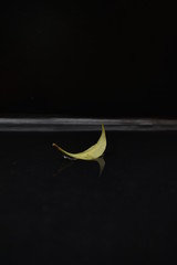 La Hoja 
