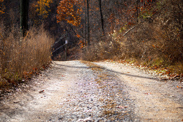 Fototapeta premium Dirt road on a mountain surrounded by trees in the fall