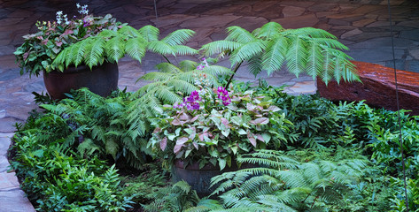 Flowers in pots flower decoration in public place.