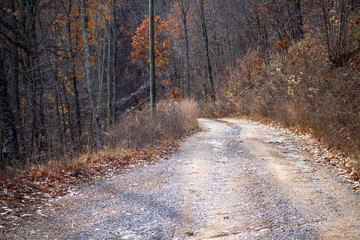 Dirt road on a mountain surrounded by trees in the fall