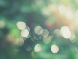 Nature bokeh background, Green leave bokeh with nature light, morning time, Abstract blurred background.