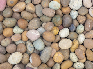 Fototapeta na wymiar pebble stone background, small Scree in garden with difference color, abstract background.
