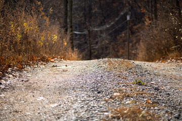 Dirt road on a mountain surrounded by trees in the fall