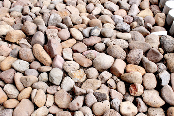 Piedras