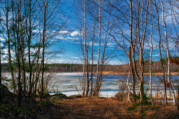 Spring landscape melts ice on the shore of a forest lake.