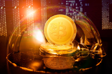 Bitcoin sv coin in a soap bubble. Dangers and risks of investing to bitcoin sv cryptocurrency. Speculation, drop, down