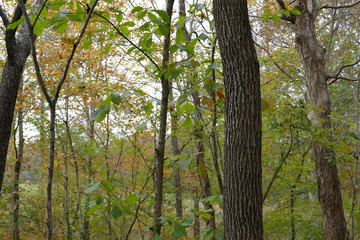 across the creek
