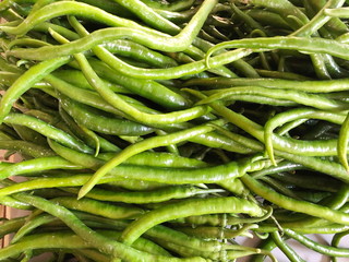 Green pepper or chili from the farm, Close up or macro fresh beautiful Green peppers on the market texture and background, a lot of chili on basket for trader and business and establishment