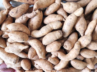 Fresh sweet potato with root at farmer market as a food background.