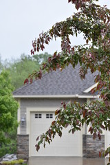 A beautiful tree in a garden in minnesota