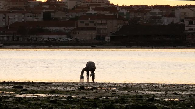 Woman silhouette catching clams in the low tide muddy waters at sunset lights