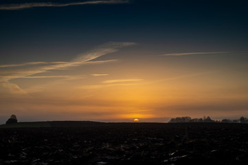 Beautiful dark sunset with tree silhouettes