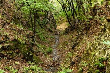 Fototapeta premium mountain river