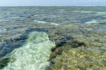 Lady Elliot Island shoreline Great Barrier Reef, Australia