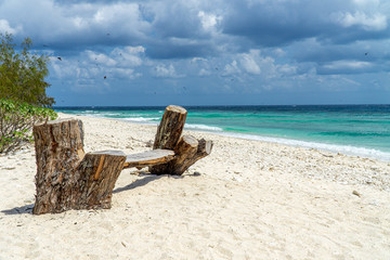 Lady Elliot Island shoreline Great Barrier Reef, Australia © karegg