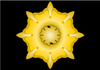 Golden mandala on black background